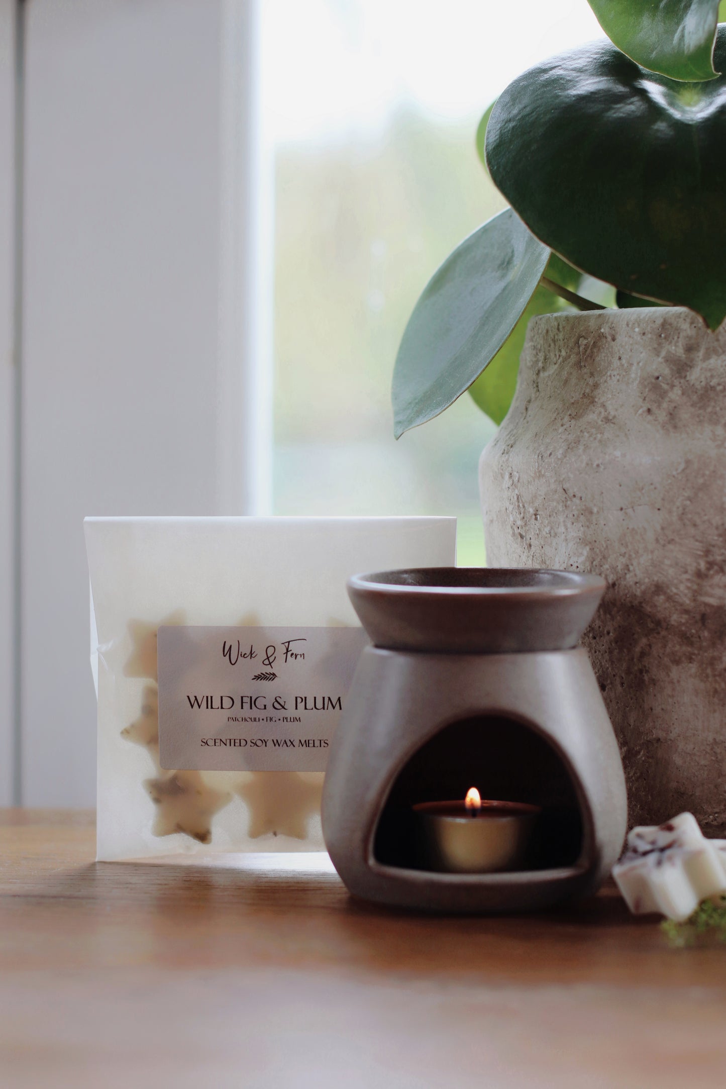 WILD FIG & PLUM | Soy Wax Melts