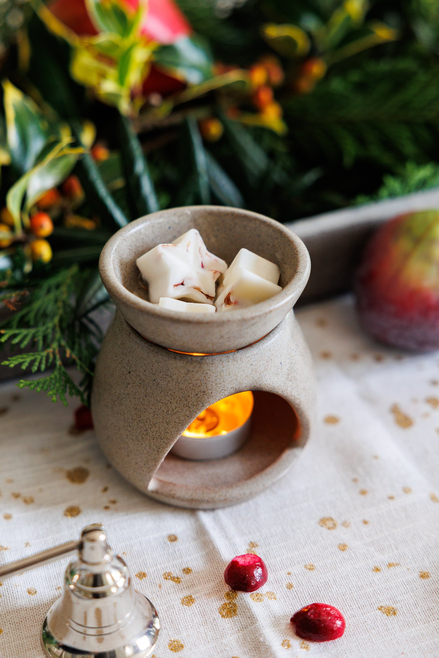 CHRISTMAS CHEER | Soy Wax Melts