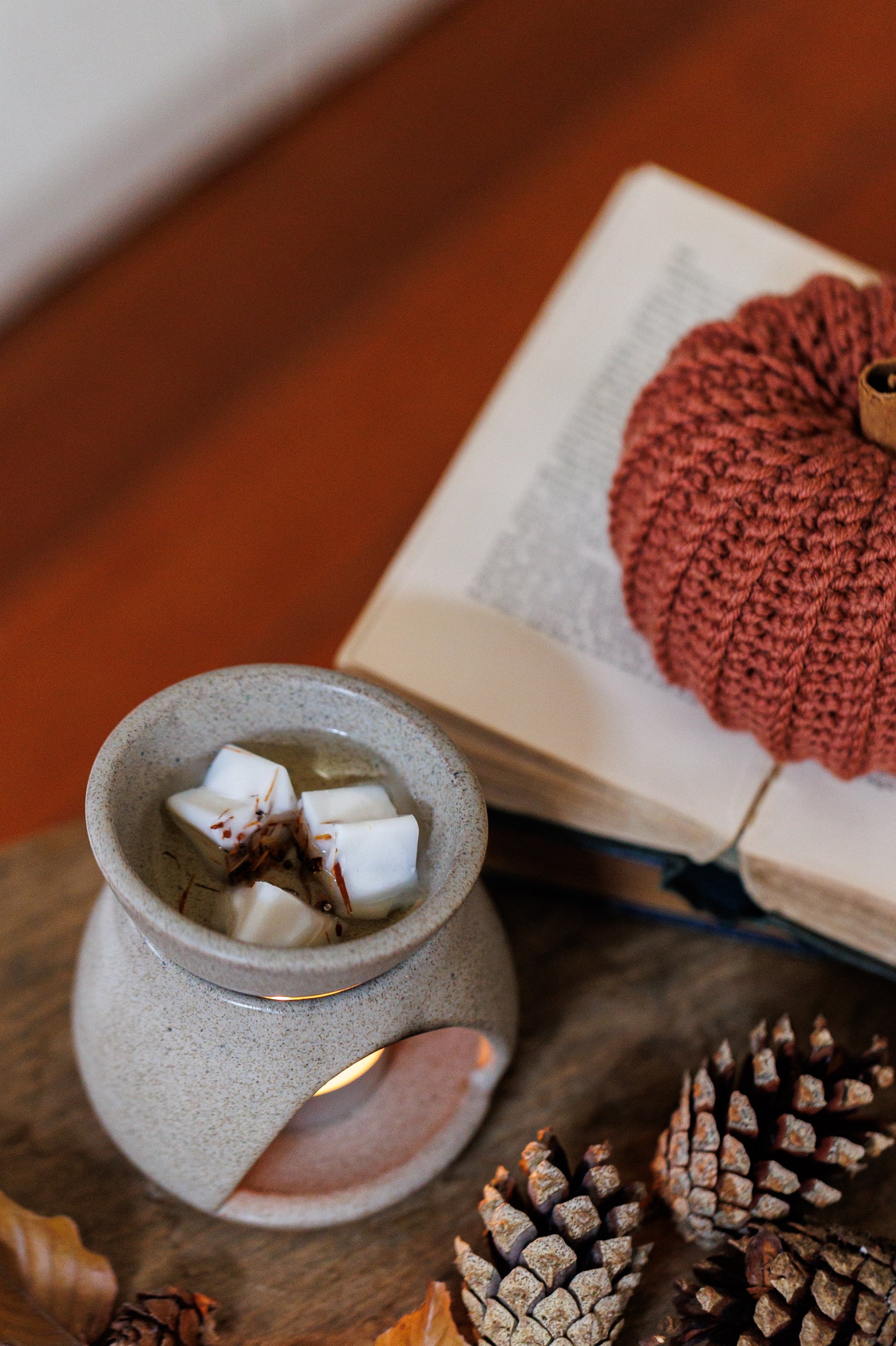 FIRESIDE | Soy Wax Melts
