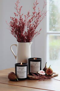 WILD FIG & PLUM | Soy Wax Candle