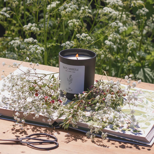BOG MYRTLE | Soy Wax Candle