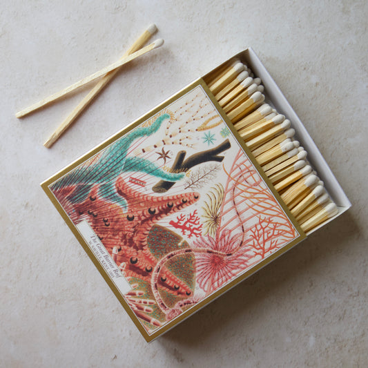Archivist Great Barrier Reef Matches