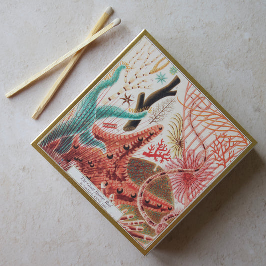 Archivist Great Barrier Reef Matches